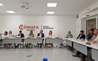 Visita de la Delegación Empresarial Irlandesa a Lanzarote